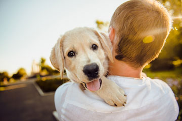 cutepup